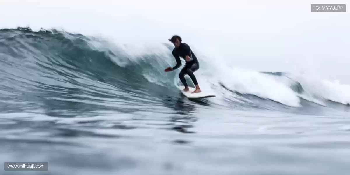 高清直播，实时互动，身临其境！🎯